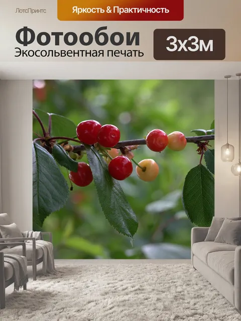 Фотообои Вишня
