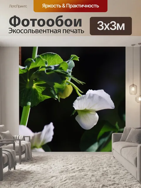 Фотообои белый зеленый горох цветок и листья