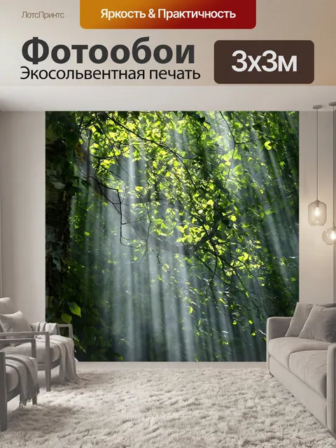 Фотообои Лес