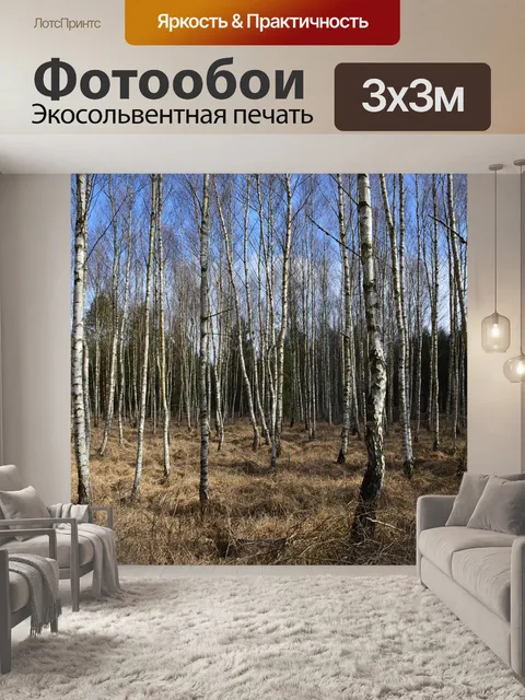 Фотообои Лес