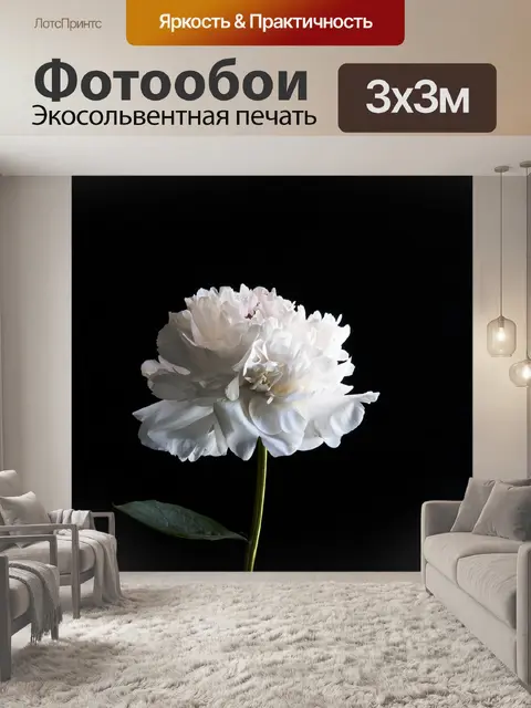 Фотообои Пион