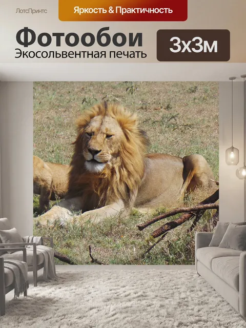 Фотообои Лев