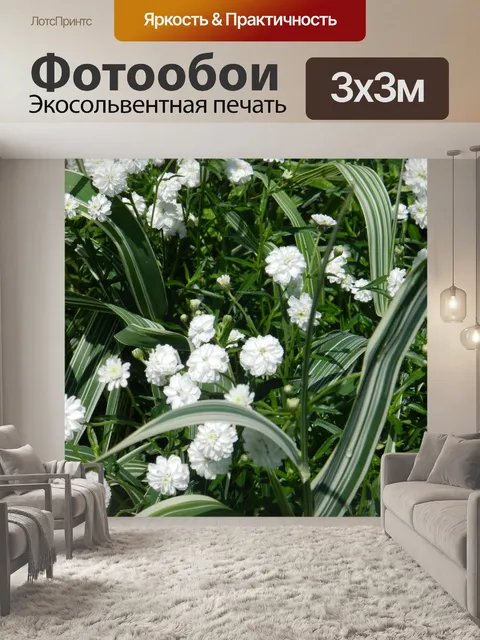 Фотообои Маленькие белые цветы - 1