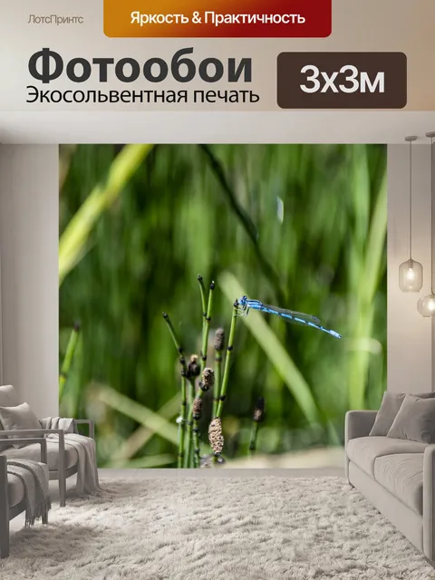 Фотообои лазурная красотка