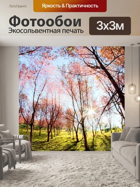 Фотообои Prunus cerasoides, дикая гималайская виш