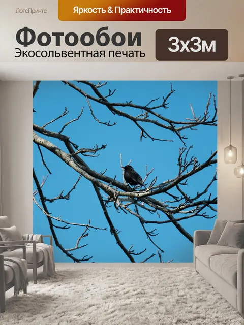 Фотообои Черный дрозд на деревьях