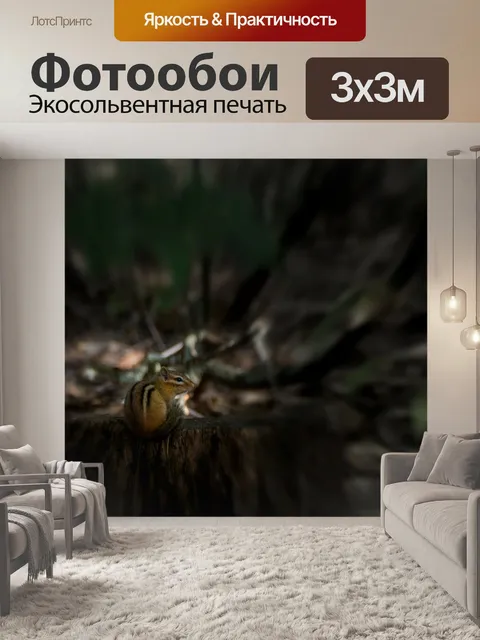 Фотообои Бурундук
