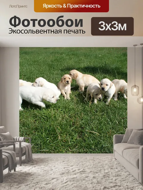 Фотообои Щенки