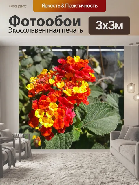 Фотообои Природа