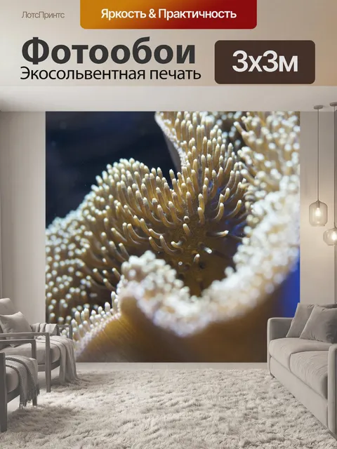 Фотообои Коралловый риф