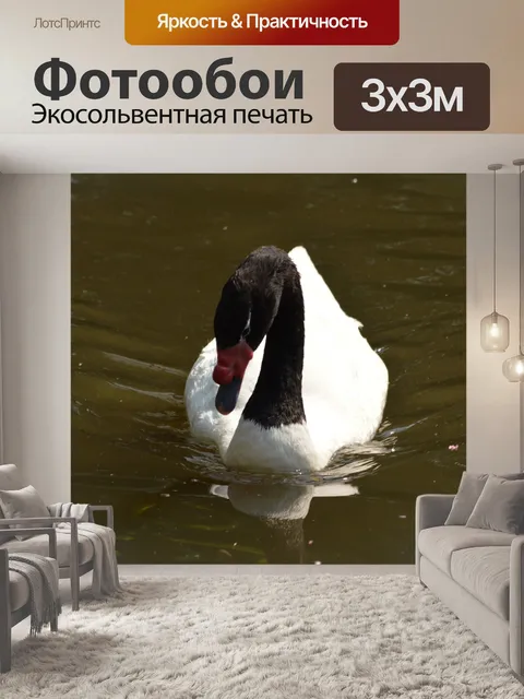 Фотообои Черное на белом 1