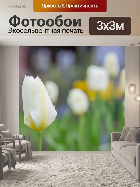 Фотообои Тюльпан