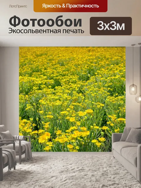 Фотообои поле, где растения расцветают в улыбках, создавая атмосферу веселья