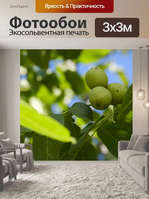 Фотообои Орех