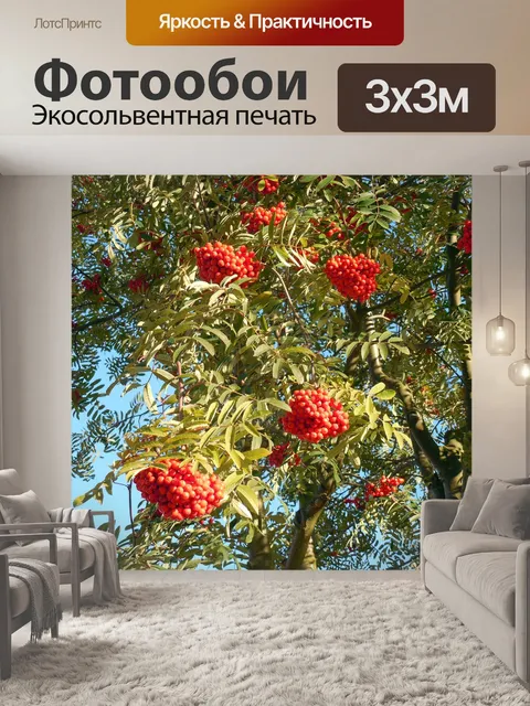 Фотообои Рябина