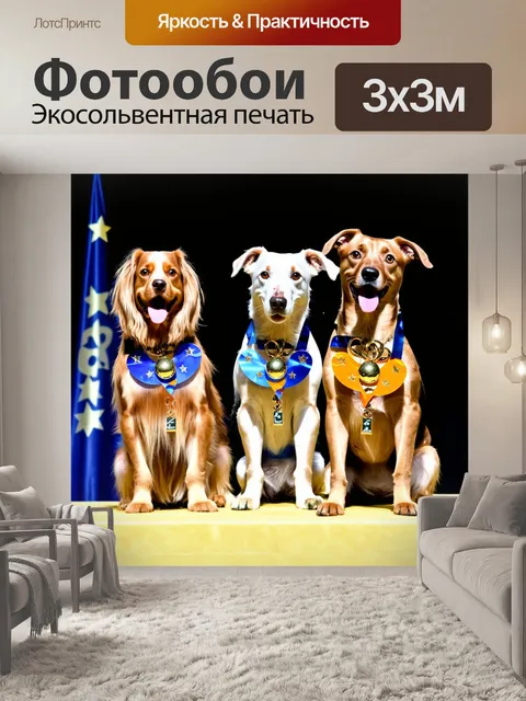 Фотообои собаки, довольные, позирующие с наградами после соревнований