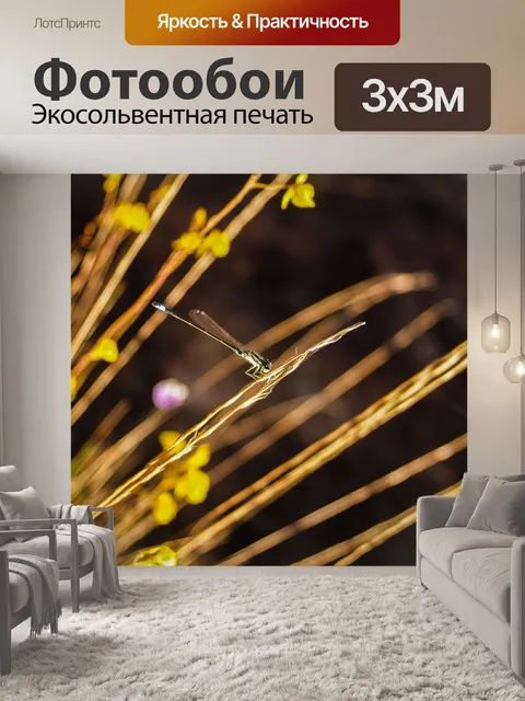 Фотообои Трава цветочное поле, полевые цветы
