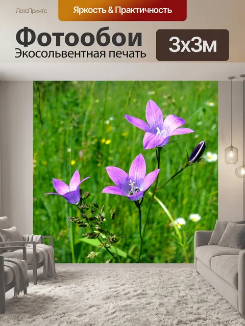 Фотообои Луг