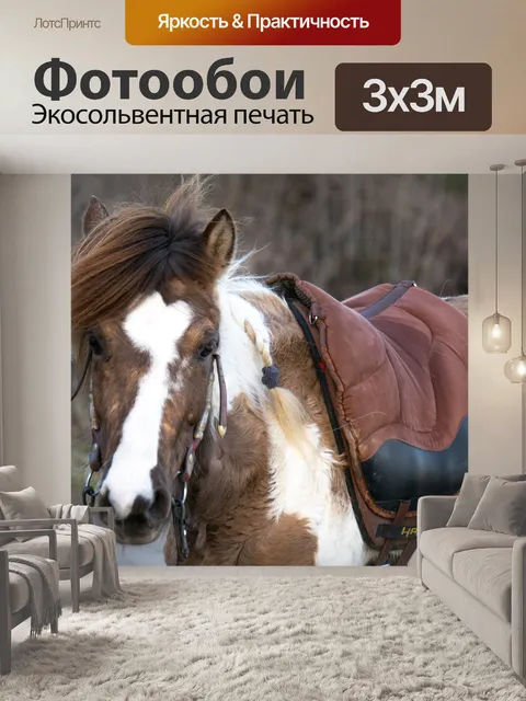 Фотообои Пони