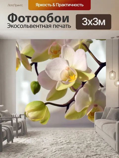 Фотообои Орхидея