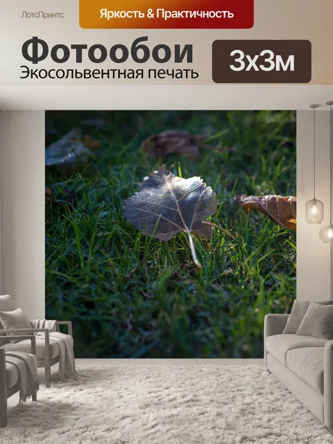 Фотообои Листья