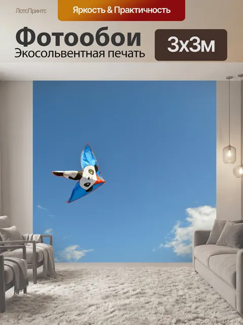 Фотообои Воздушный змей
