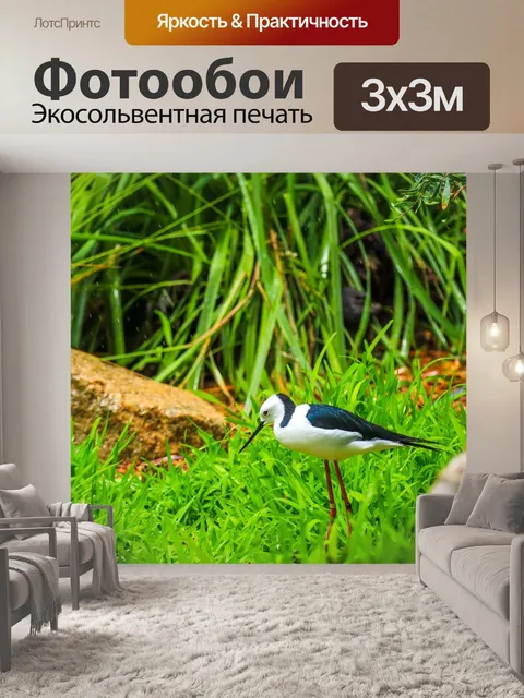 Фотообои Птица