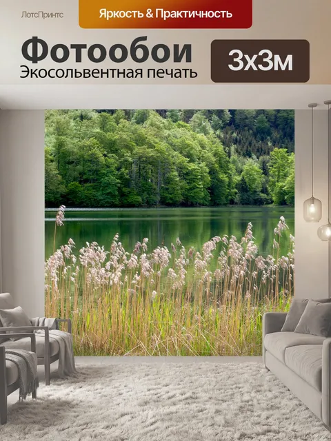 Фотообои Тростник