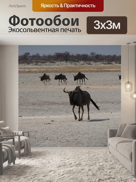 Фотообои Намибия