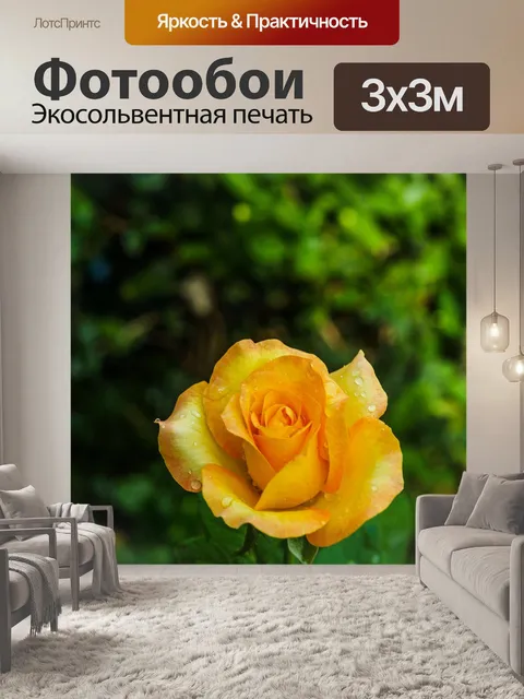 Фотообои Роза в саду