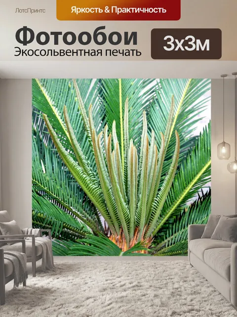 Фотообои Пальмовых листьев Фон