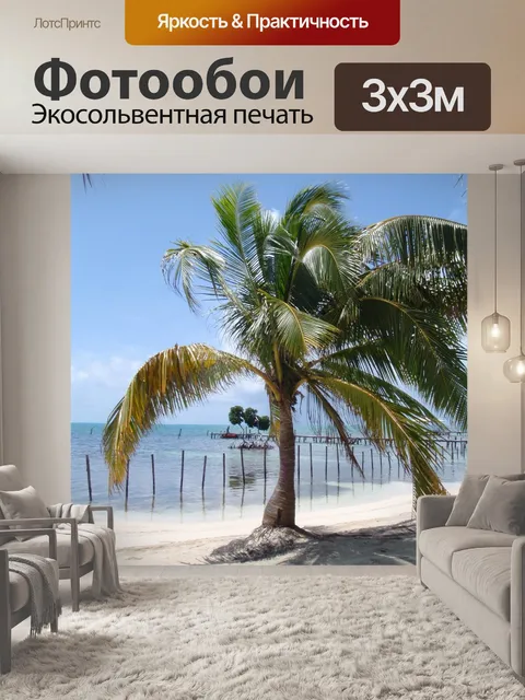 Фотообои Кокос