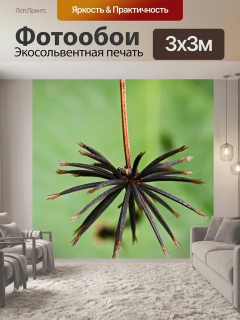 Фотообои гроздь семян блэкджека