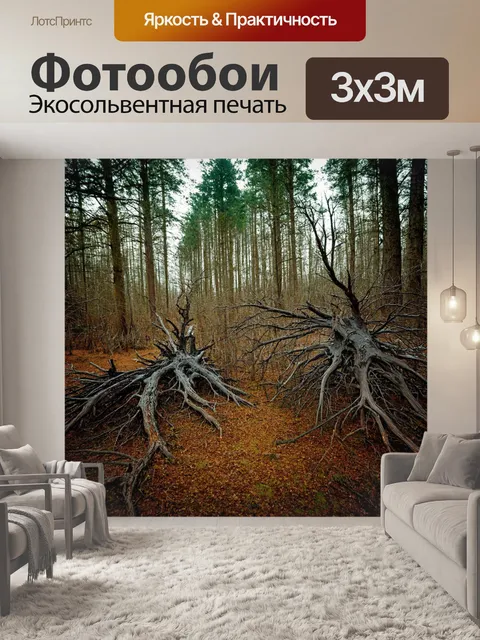 Фотообои лес с мертвыми деревьями, создающими контраст с живыми