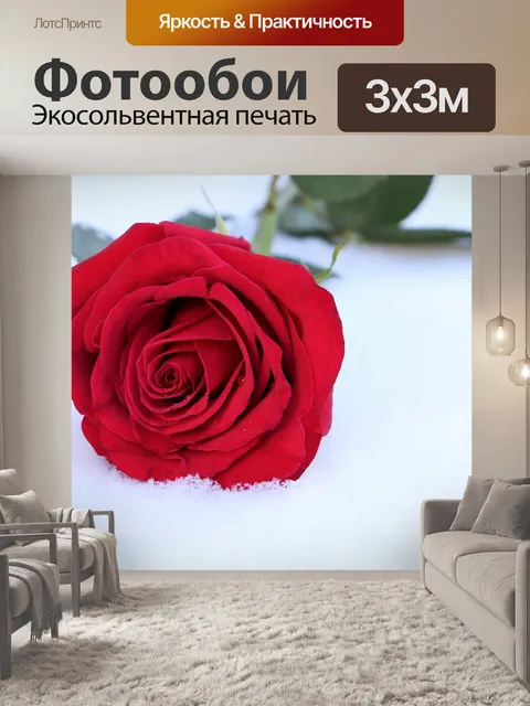 Фотообои Красная роза в снегу