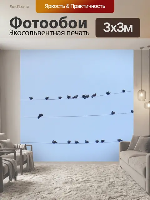 Фотообои Птицы