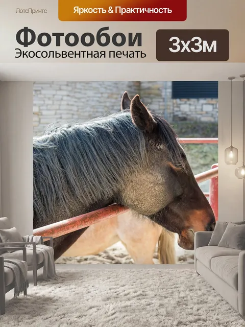 Фотообои Лошадь