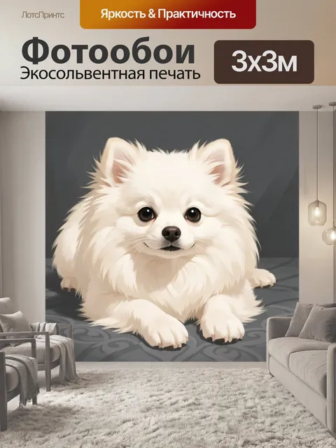 Фотообои Белый пушистый шпиц
