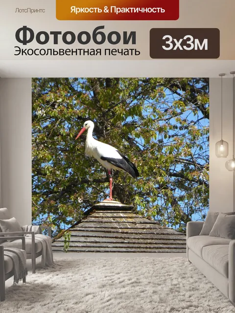 Фотообои Аист