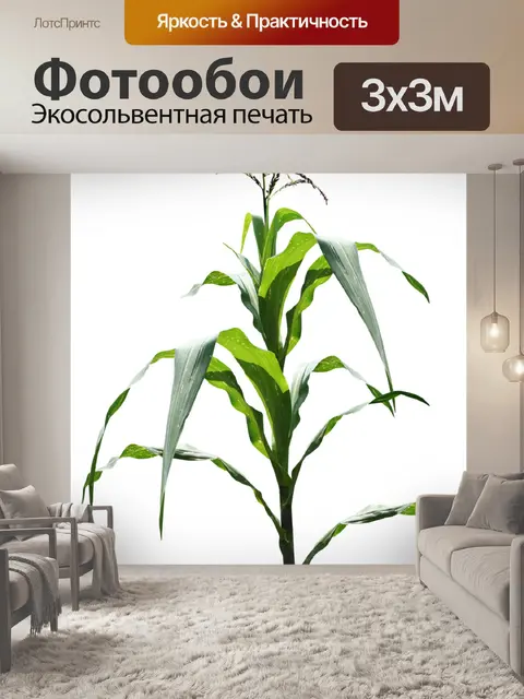 Фотообои Кукурузное поле