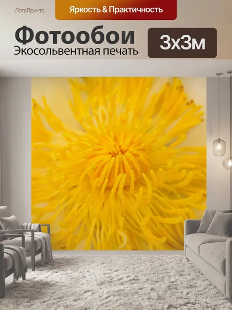 Фотообои Красивый цветок лотоса кувшинки