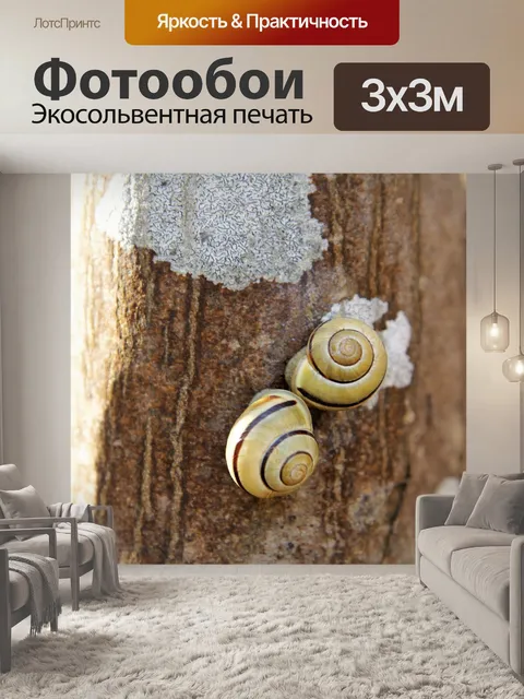 Фотообои Древесина