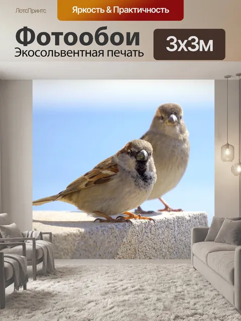 Фотообои Птицы