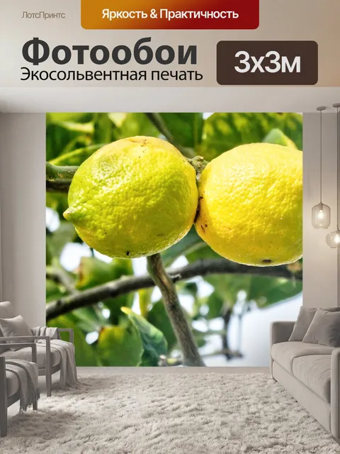 Фотообои Пара лимонов