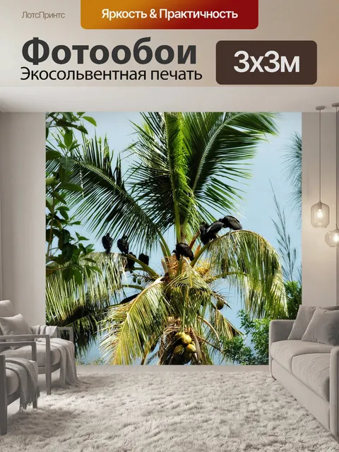 Фотообои Пальма