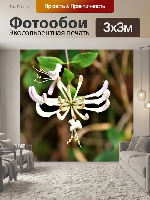 Фотообои Цветы