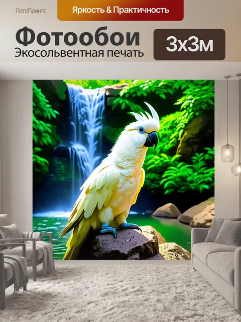 Фотообои величественная корелла, сидящая на камне возле водопада, где капли воды сверкают на солнце