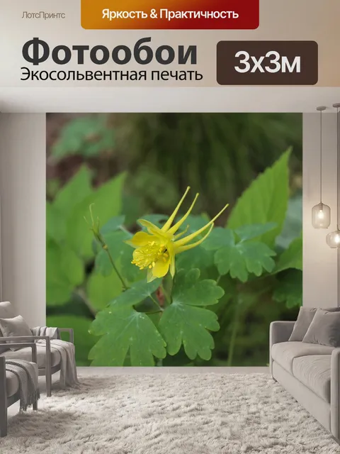 Фотообои Желтый