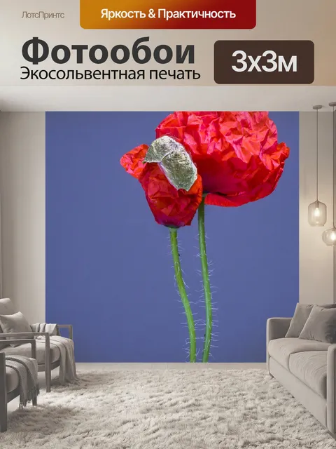 Фотообои Мак