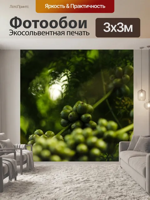 Фотообои Кофе в зернах